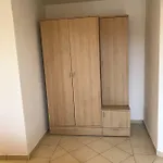 Sotlar